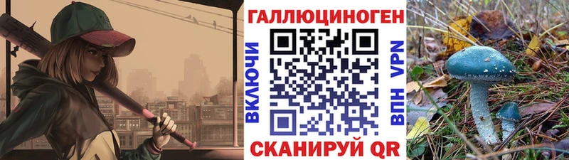 Псилоцибиновые грибы Cubensis Тарко-Сале